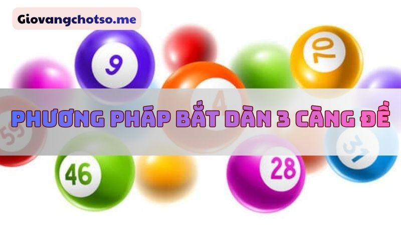 nuôi dàn 3 càng đề khung 7 ngày