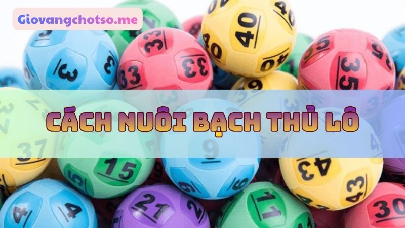 nuôi bạch thủ lô khung 3 ngày