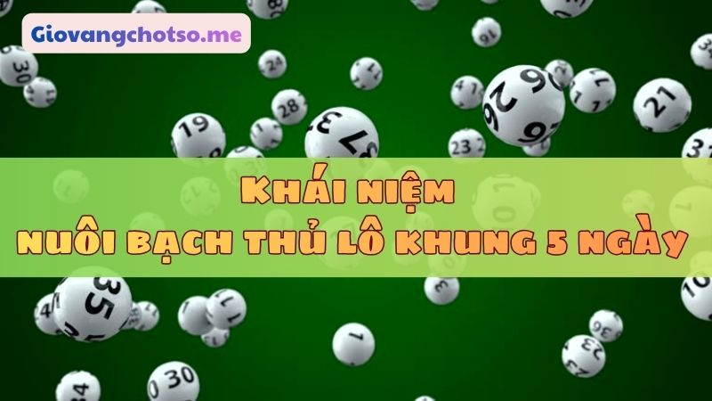 nuôi bạch thủ lô khung 5 ngày