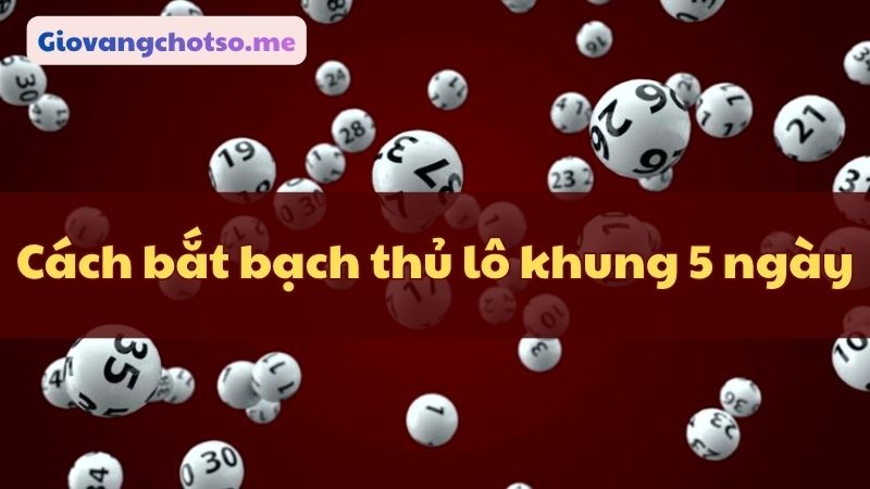 nuôi bạch thủ lô khung 5 ngày