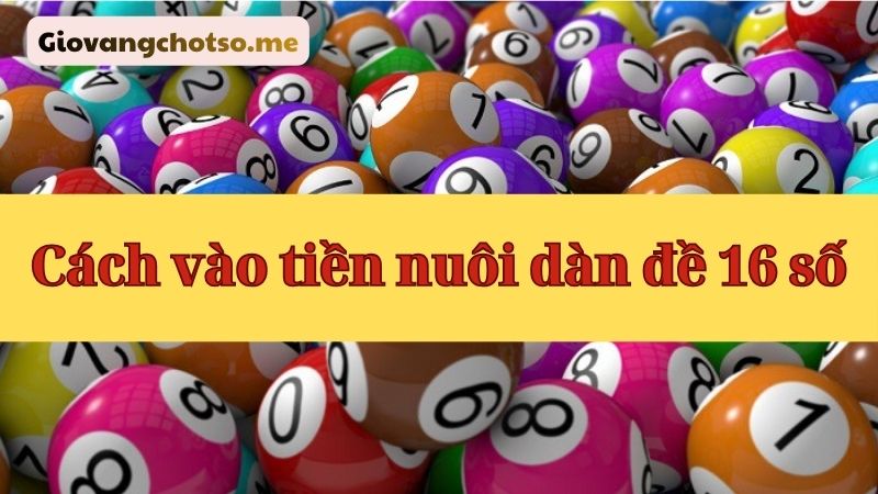 nuôi dàn đề 16 số khung 3 ngày