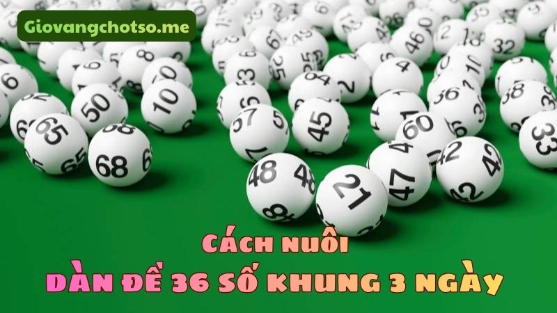 nuôi dàn đề 36 số khung 3 ngày