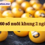 Nuôi dàn đề 60 số khung 2 ngày bất bại chiến thắng đánh quanh năm