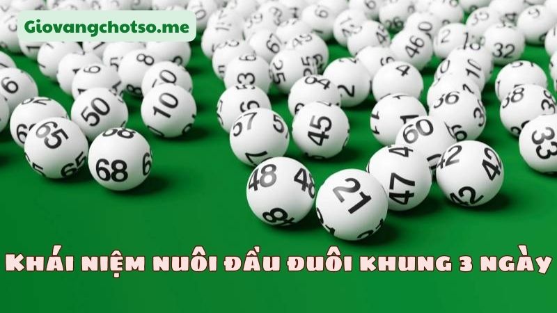 nuôi đầu đuôi khung 3 ngày