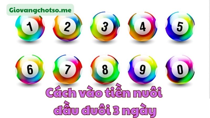 nuôi đầu đuôi khung 3 ngày