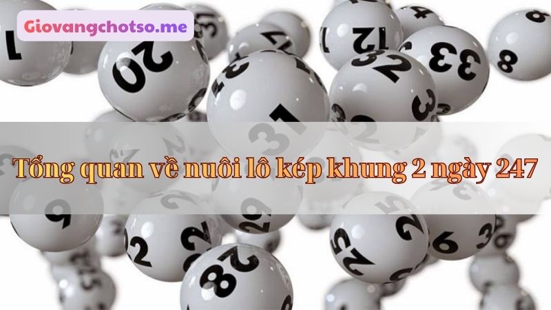 nuôi lô kép khung 2 ngày