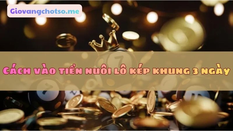 nuôi lô kép khung 3 ngày 247