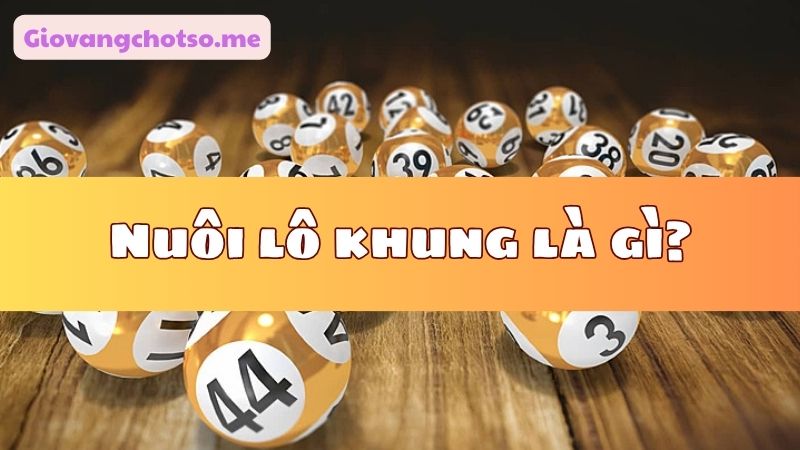 nuoi-lo-khung 