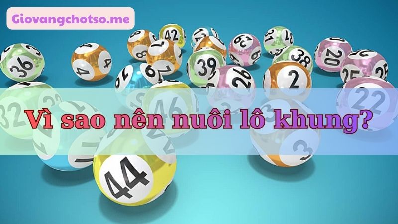 nuoi-lo-khung 
