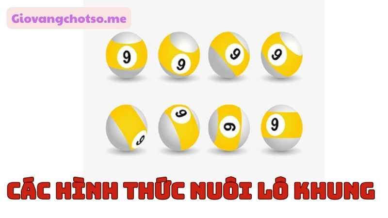 nuoi-lo-khung 