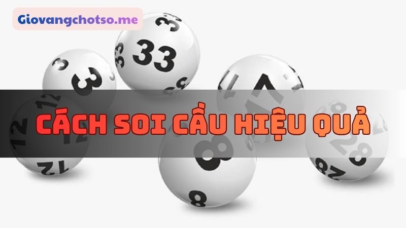 nuôi song thủ lô khung 2 ngày