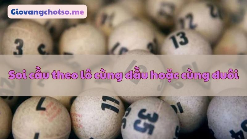 nuôi song thủ lô khung 2 ngày