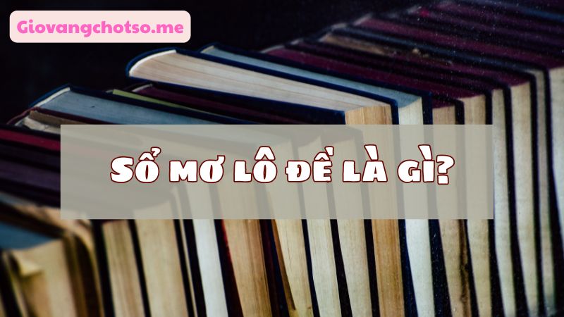 so mo lo de