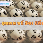 Soi cầu 24h hôm nay – Dự đoán xổ số 24 giờ chốt số vip