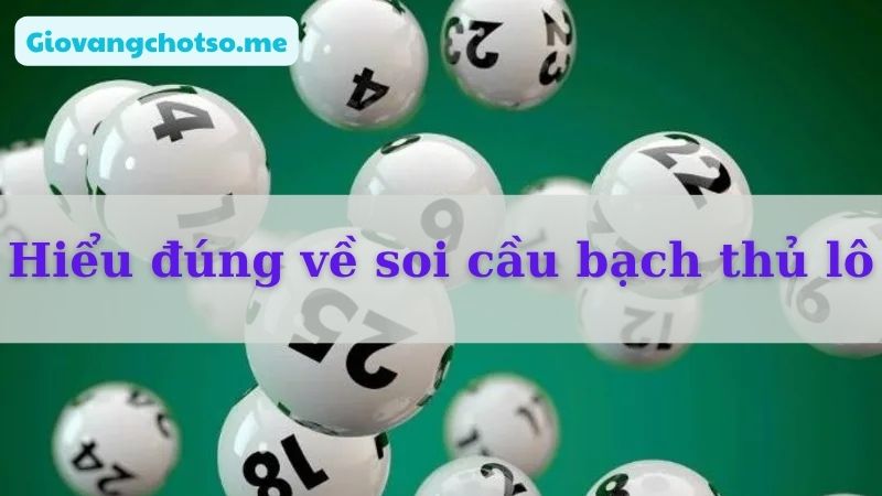 soi cau bach thu lo dep nhat hom nay 