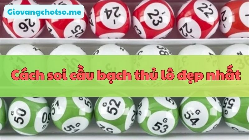 soi cau bach thu lo dep nhat hom nay 