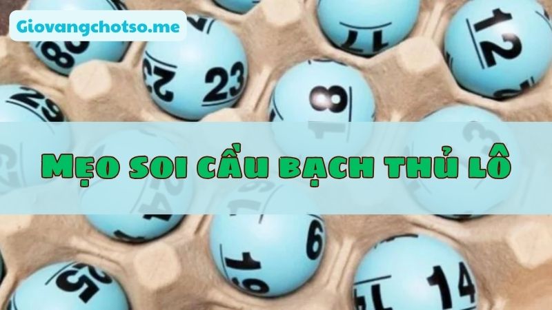 soi cau bach thu lo dep nhat hom nay 