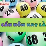Dàn đề 20 số vip hôm nay bất tử miễn phí