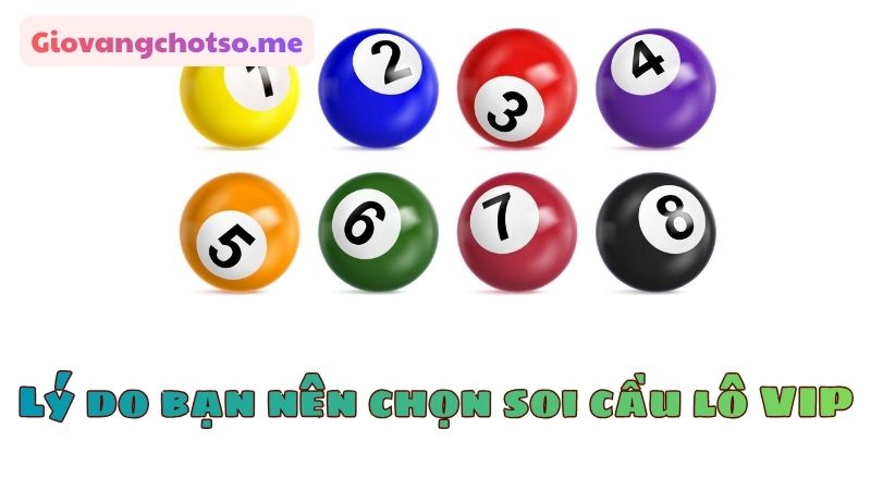 soi cầu lô VIP