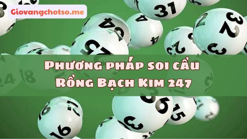rong bach kim 247 