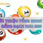 Rồng Bạch Kim 555 – soi cầu rong bach kim 555 VIP miễn phí hôm nay