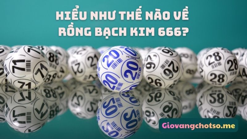Rồng Bạch Kim 666
