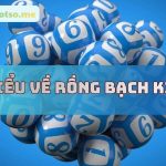 Rồng bạch kim 777 – Rong bach kim 8899 Soi cầu chính xác 100