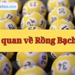 Soi cầu Rồng Bạch Kim chính xác 100 miễn phí hôm nay