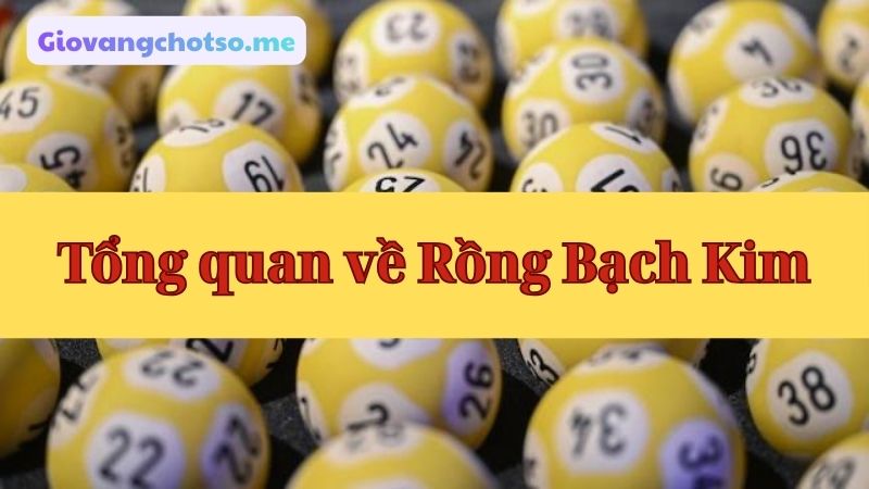 Soi cầu rồng bạch kim chính xác 100