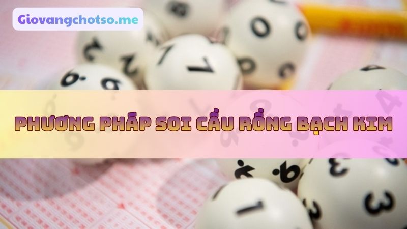Soi cầu rồng bạch kim chính xác 100
